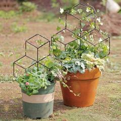 Lattice-Shaped Trellis,Outdoor Decor for Mini Climbing Plant