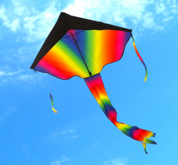 WSODSKTS/Kite+15cmboard,100m wire