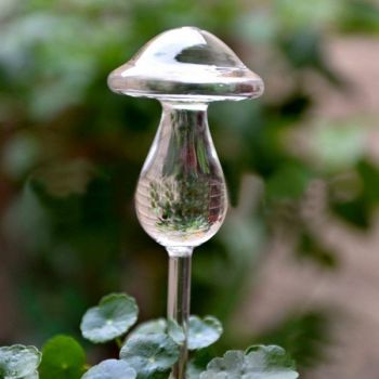 Automatic Self Watering Bulbs