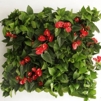 HGmart 56 Pockets Vertical Green Grow Bags Garden Hanging Wall Planters,Green