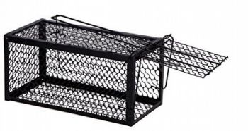 Humane Trap Cage and Release, single door- Safe and Effective